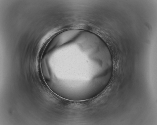 X0000113370294200909291057