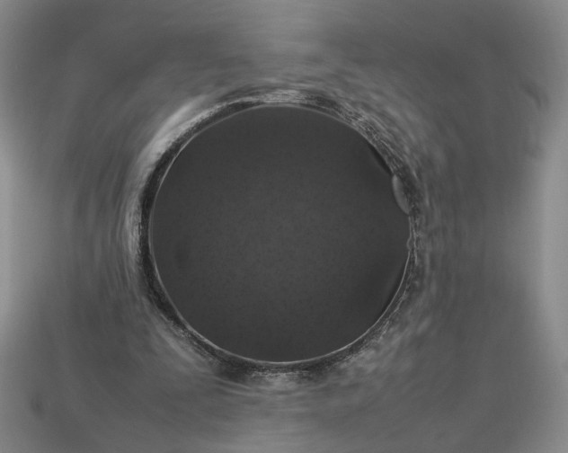 X0000113370295200909291057