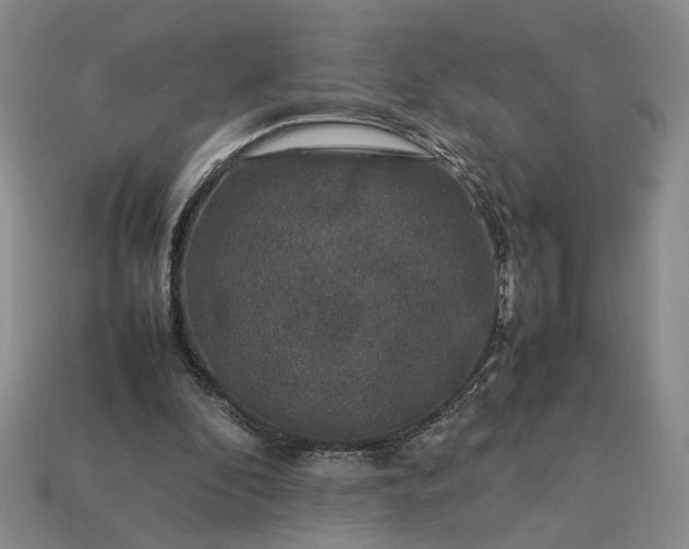 X0000113370296200909291057