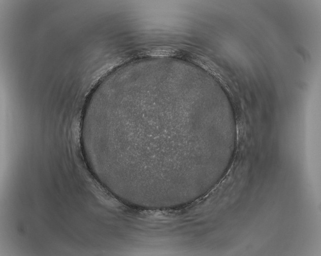 X0000113370297200909291057