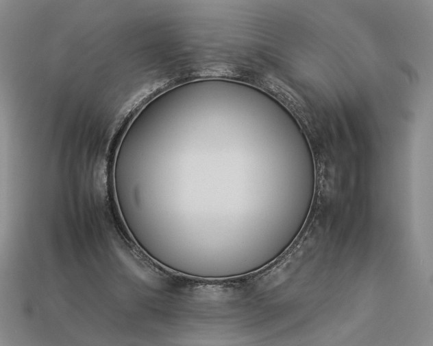 X0000113370298200909291057