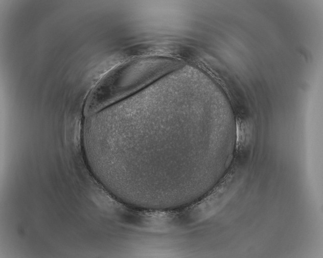 X0000113370301200909291057