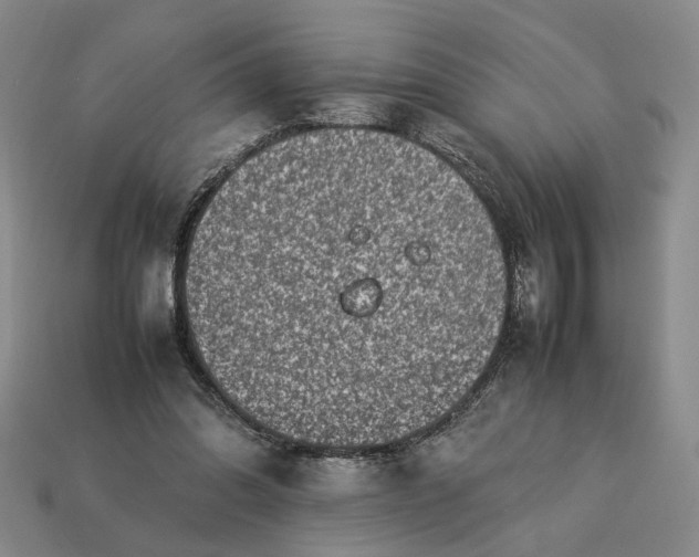 X0000113370302200909291057