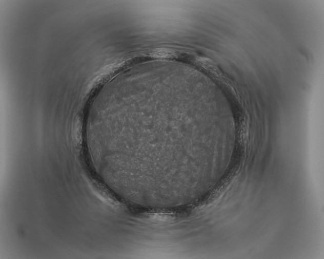 X0000113370303200909291057