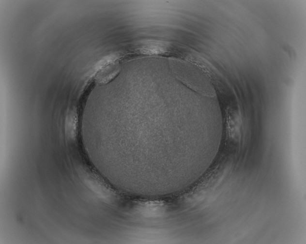 X0000113370304200909291057