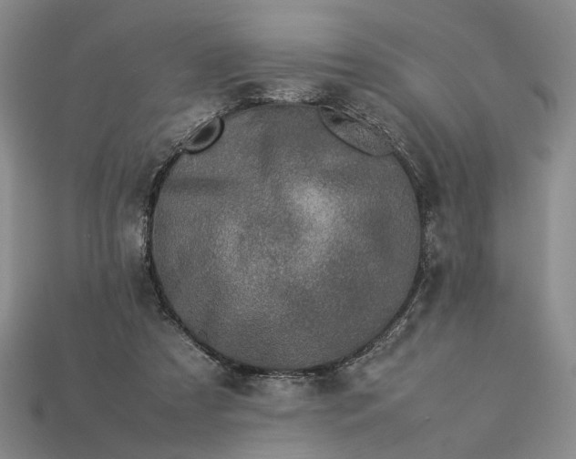 X0000113370305200909291057