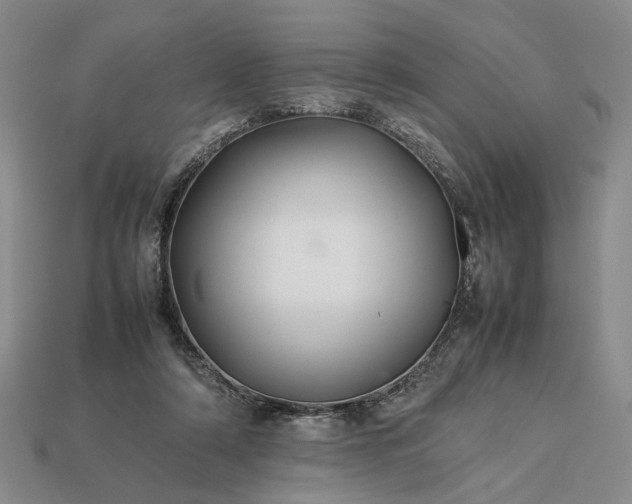 X0000113370306200909291057