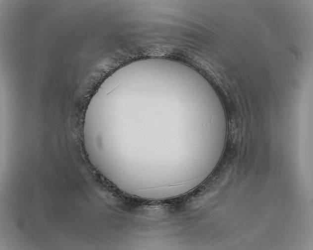 X0000113370307200909291057