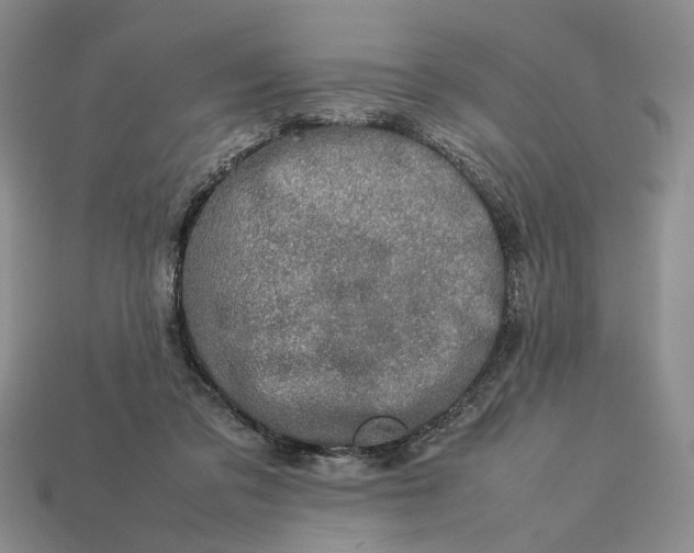 X0000113370309200909291057