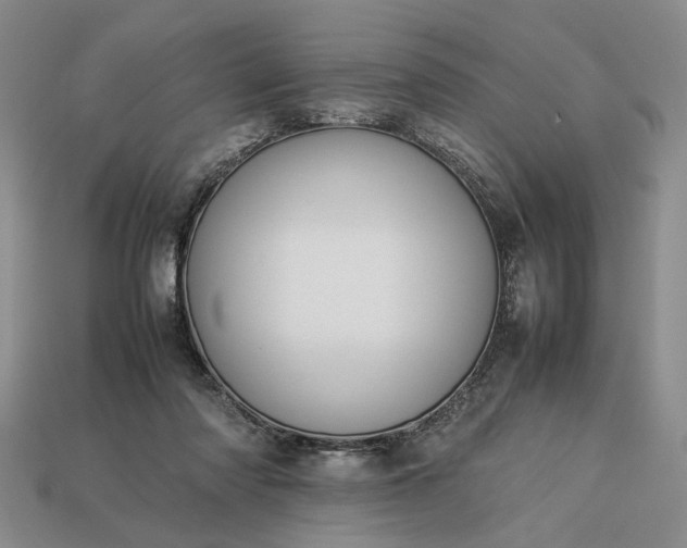 X0000113370310200909291057