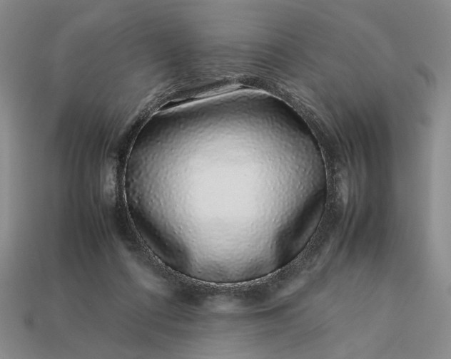 X0000113370312200909291057