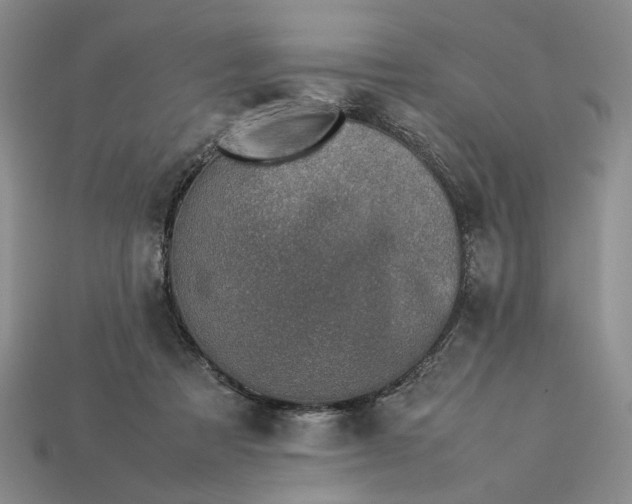 X0000113370313200909291057