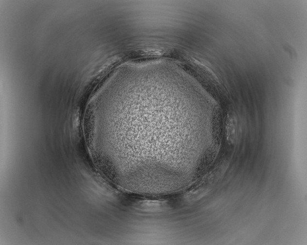 X0000113370314200909291057