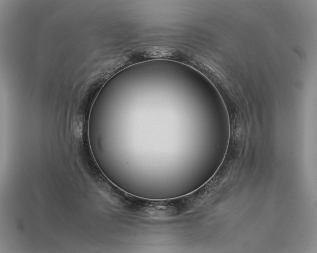 X0000113370315200909291057