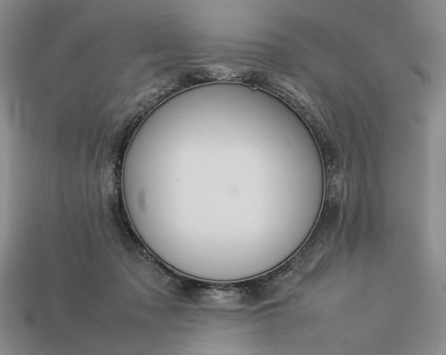 X0000113370317200909291056