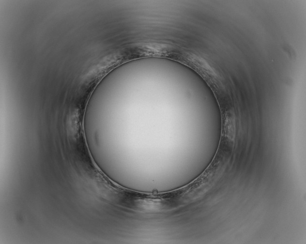 X0000113370318200909291056