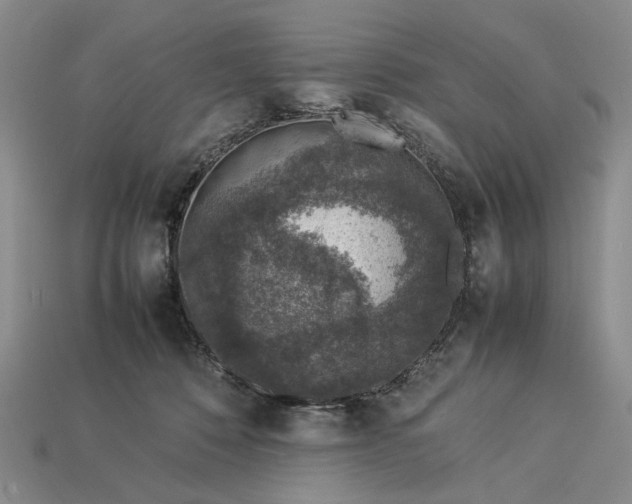 X0000113370320200909291056