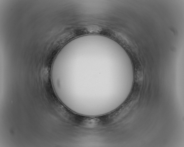 X0000113370321200909291056