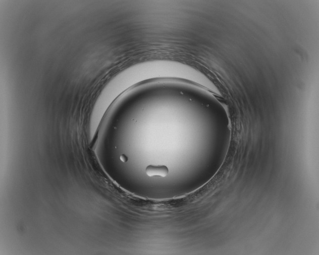 X0000113370324200909291056