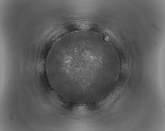 X0000113370325200909291056