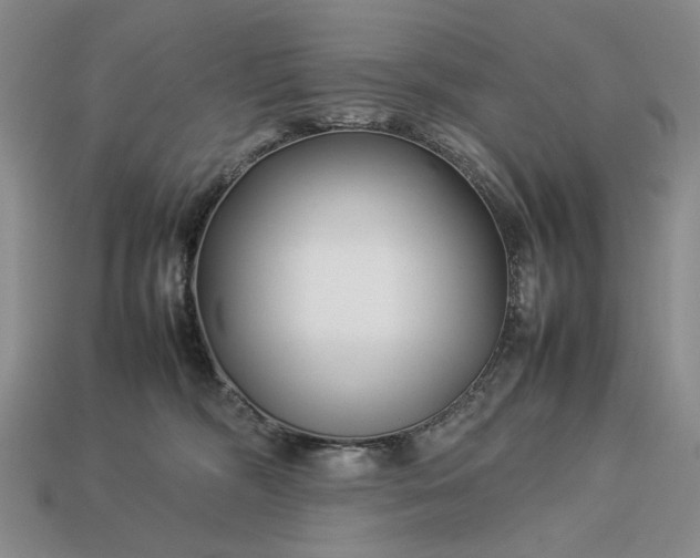 X0000113370326200909291056