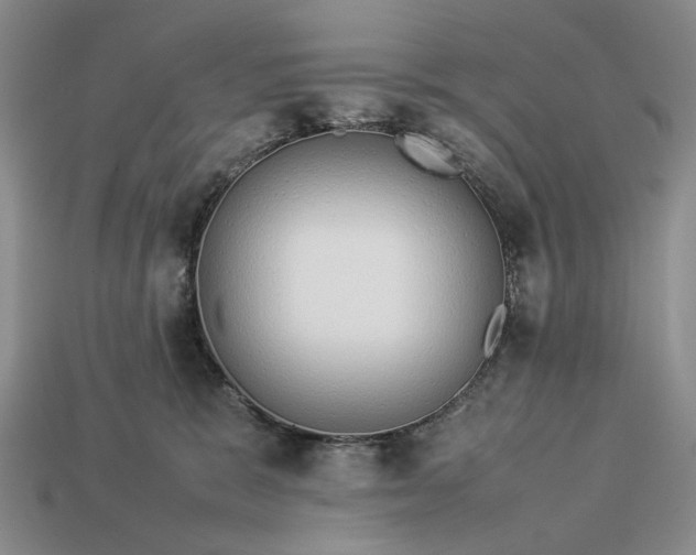 X0000113370327200909291056