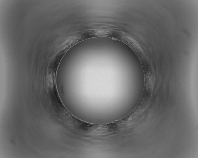 X0000113370329200909291056