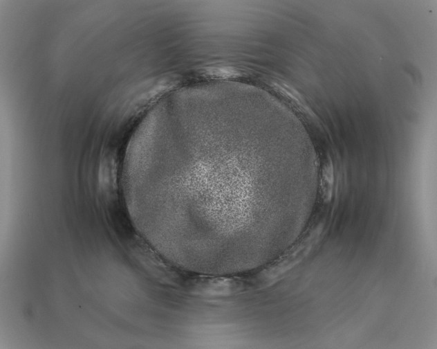 X0000113370330200909291056