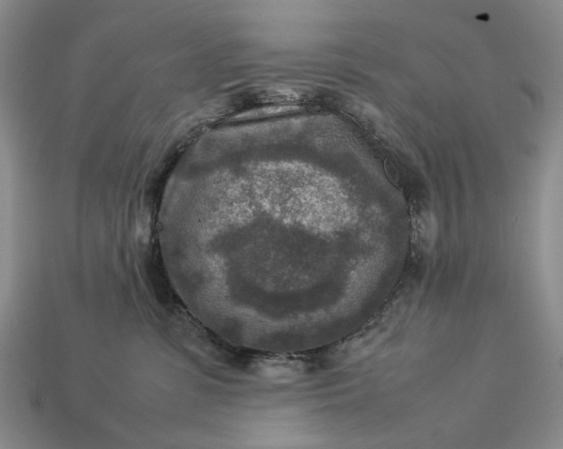 X0000113370331200909291056