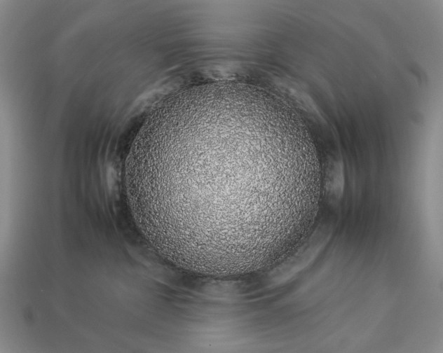 X0000113370332200909291056