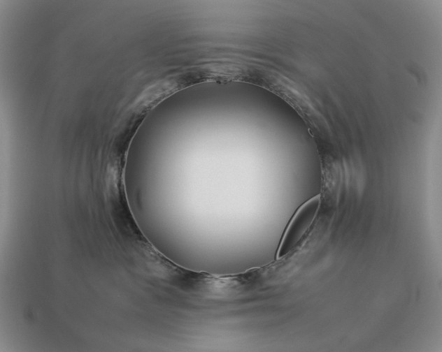 X0000113370333200909291056