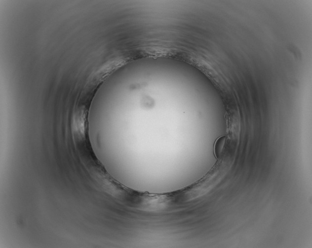 X0000113370334200909291056