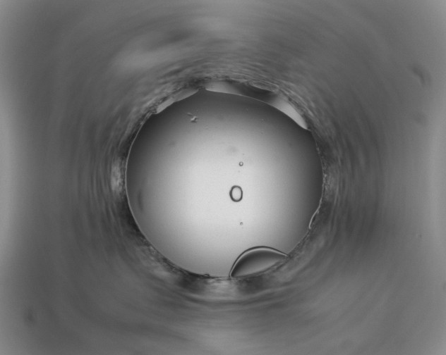 X0000113370335200909291056