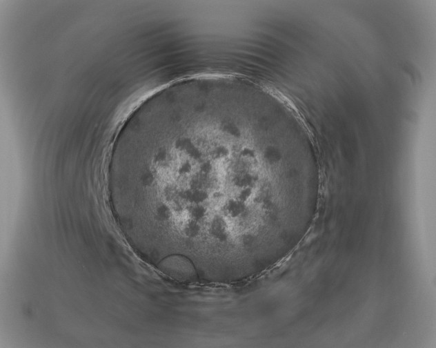 X0000113370337200909291056