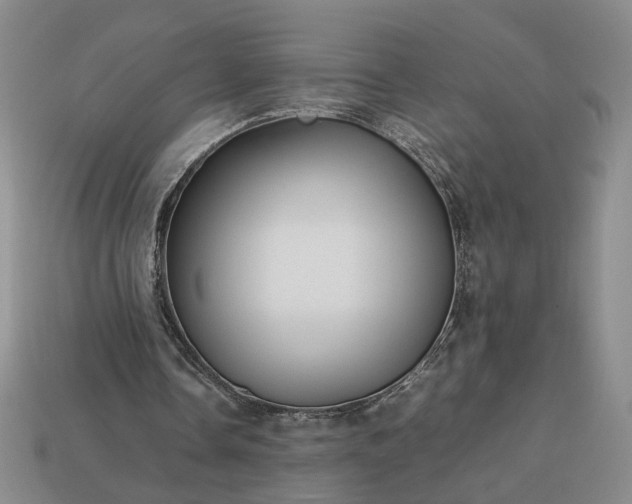 X0000113370338200909291056