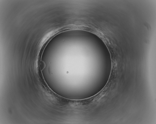 X0000113370340200909291056