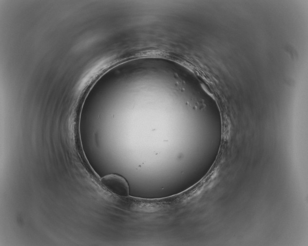 X0000113370341200909291056