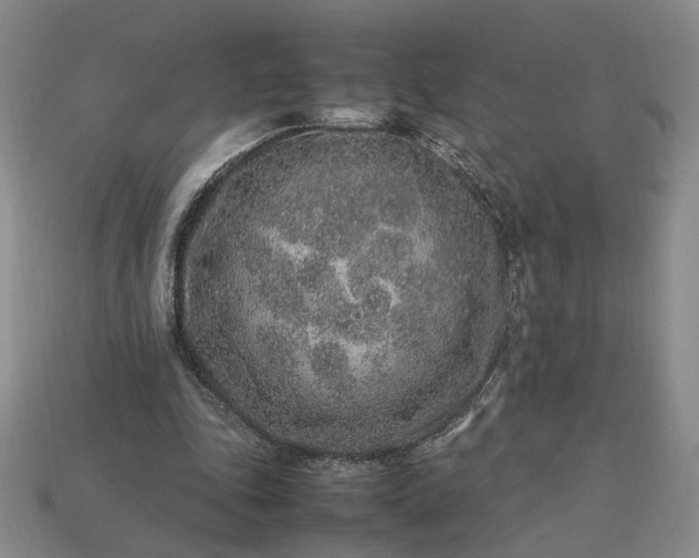 X0000113370343200909291056