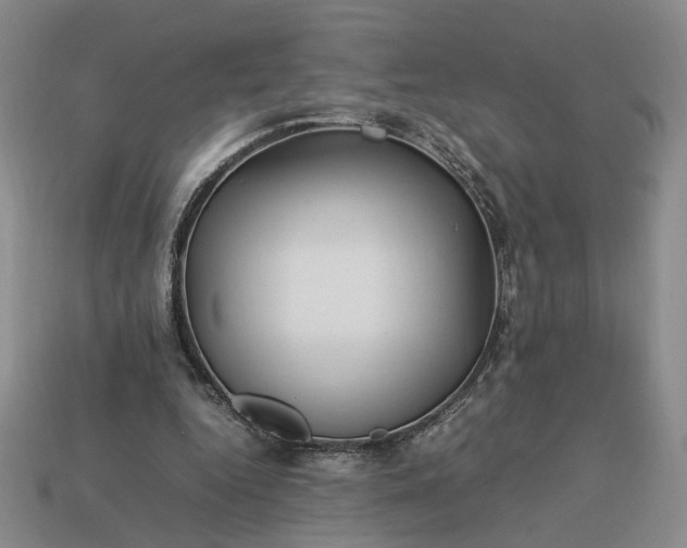 X0000113370344200909291056