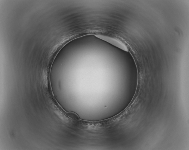 X0000113370345200909291056