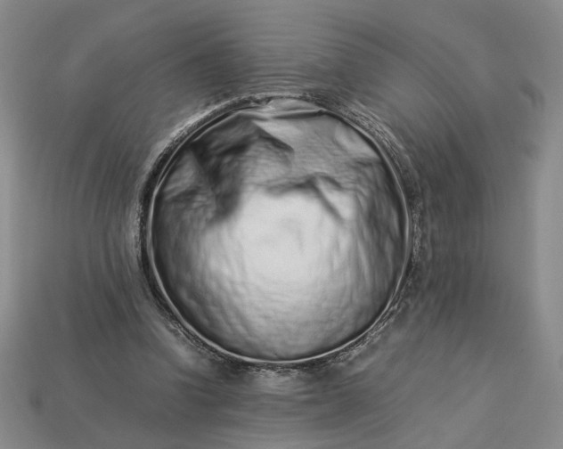 X0000113370346200909291056