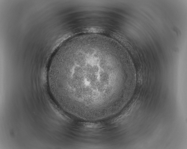 X0000113370347200909291056