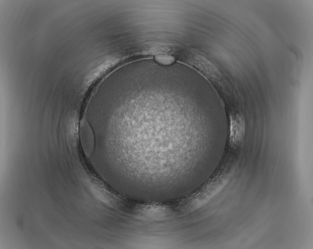 X0000113370348200909291056