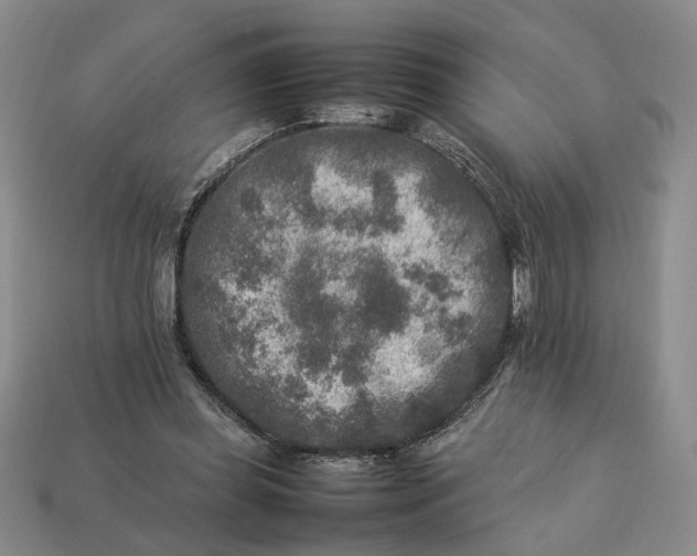 X0000113370349200909291056