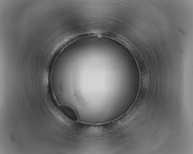 X0000113370350200909291056