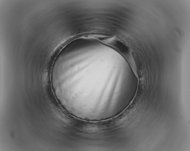 X0000113370351200909291056