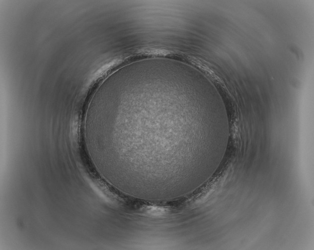 X0000113370352200909291056