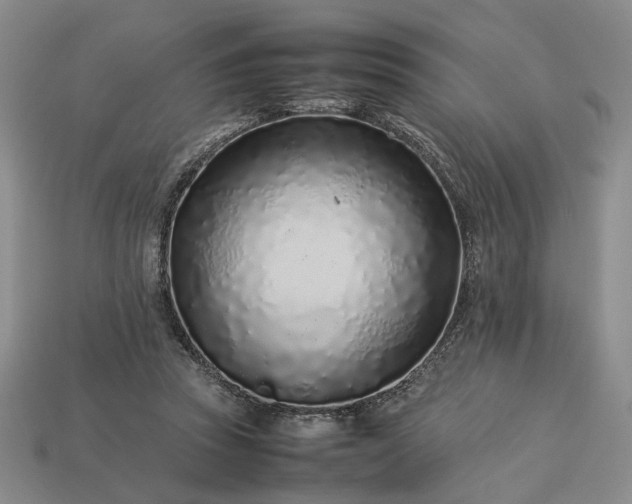 X0000113370353200909291056