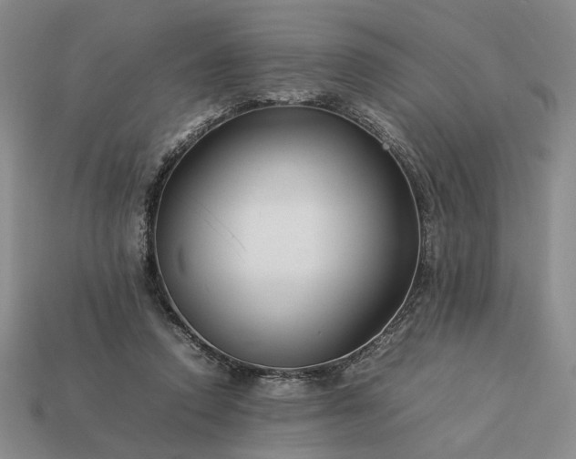 X0000113370354200909291056