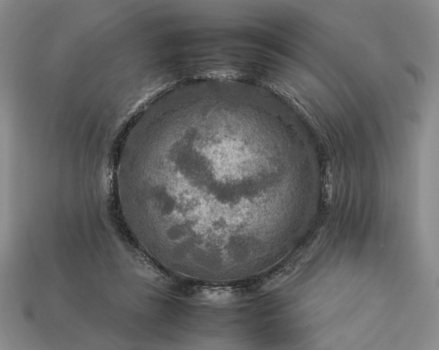 X0000113370355200909291056